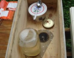 quart container honey-bee feeder