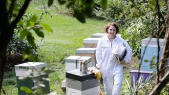 Sharon Mackie has-been beekeeping for three years.