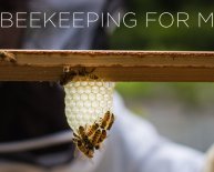 Beekeepers Kits for Beginners